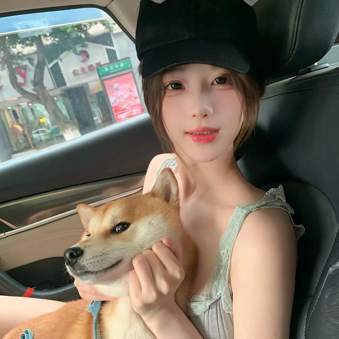 哈里的遭遇 在线观看